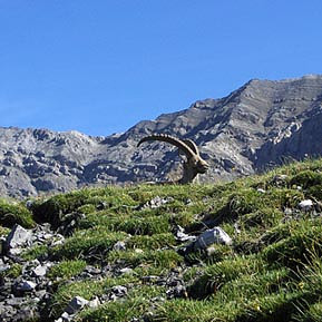 Parchi Naturali
